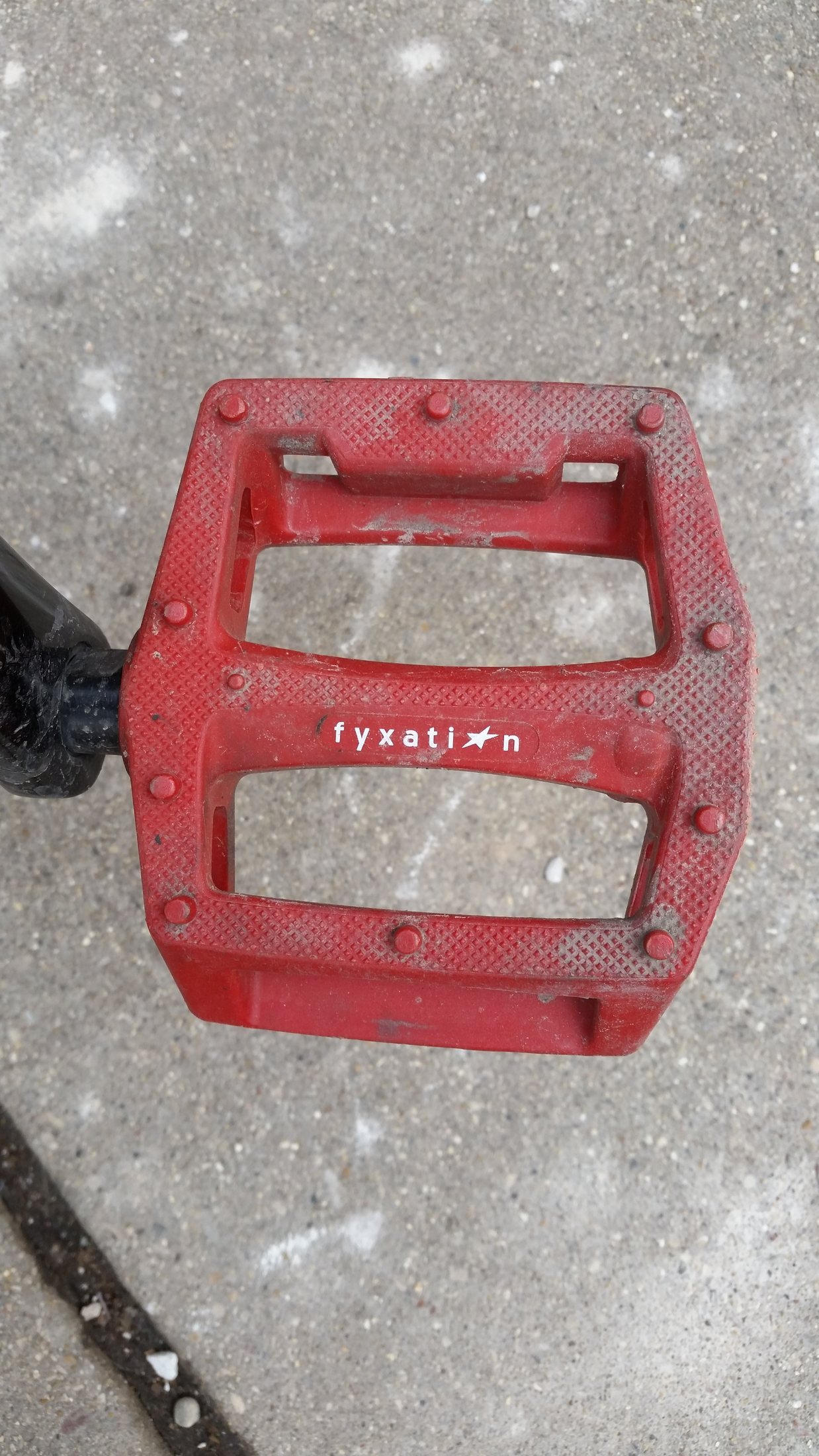 A close-up of a bicycle pedal for a rider's foot.