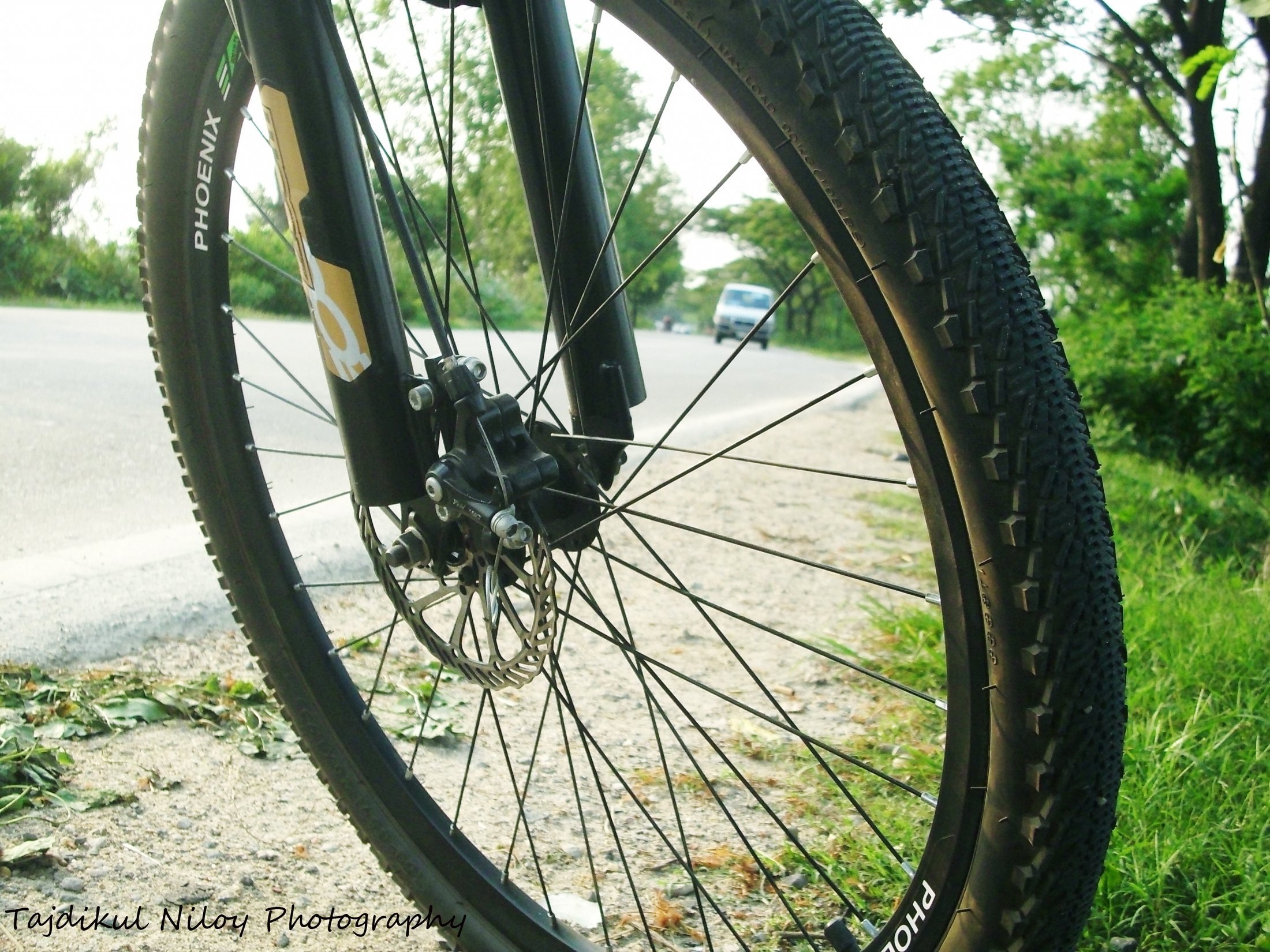 A close-up of a bicycle wheel, tire, and spokes.