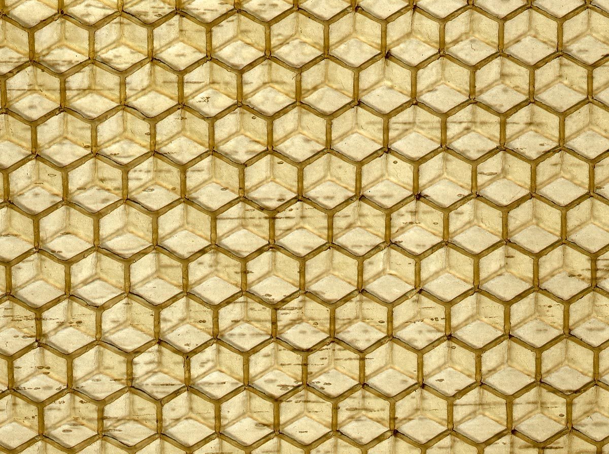 A sheet of beeswax foundation stamped with a honeycomb pattern
