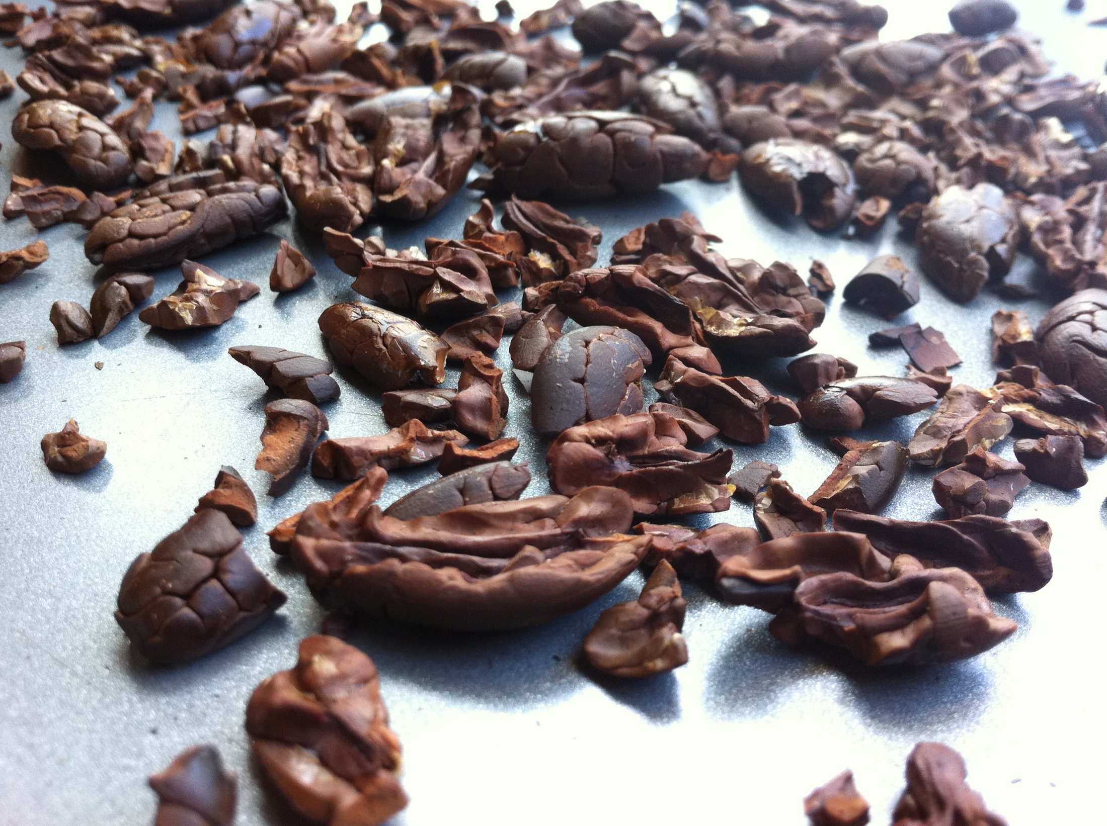 A close view of roasted cocoa nibs