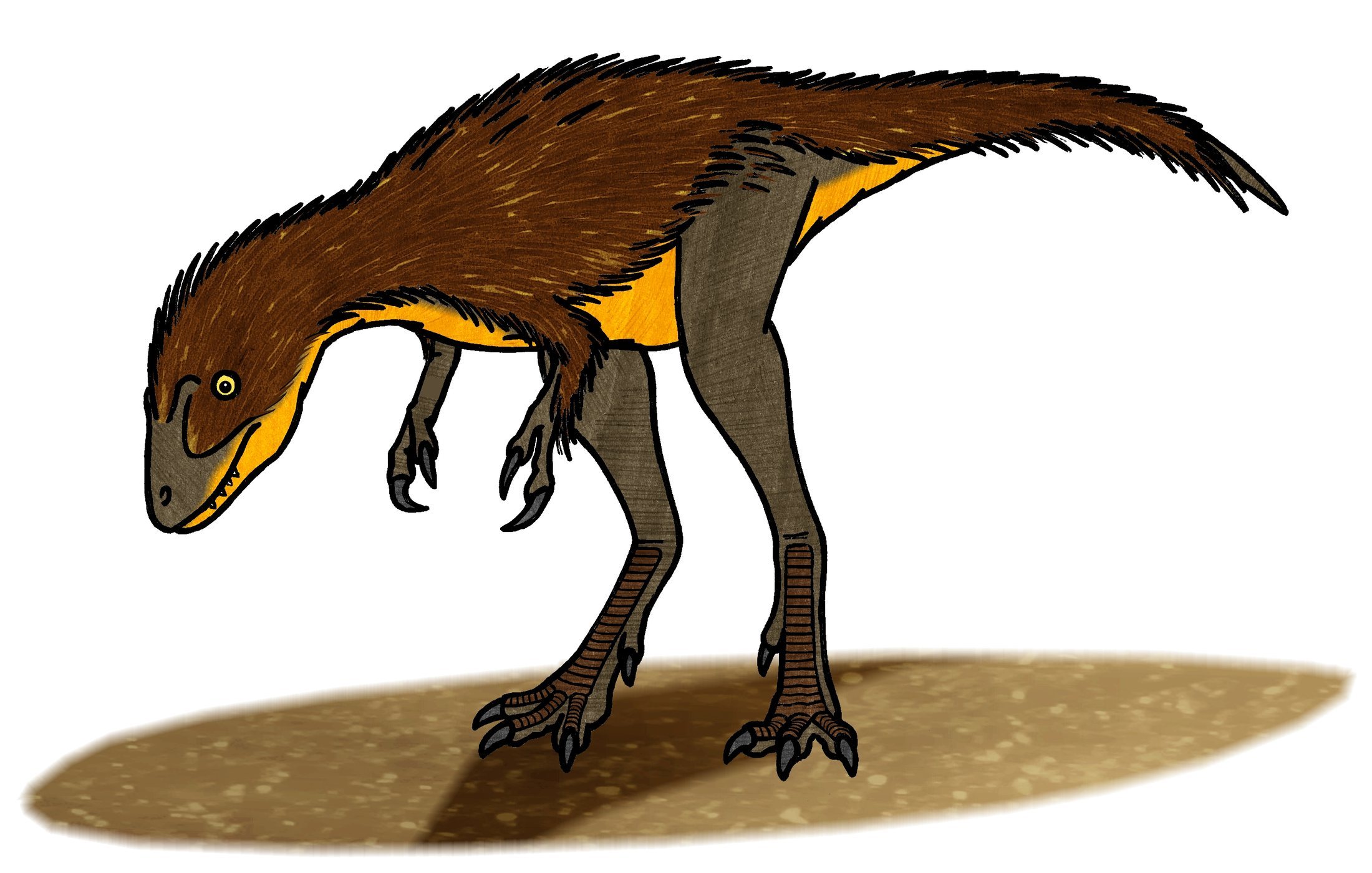 Illustration of a small fuzzy baby T. rex covered in feathers, looking alert and curious