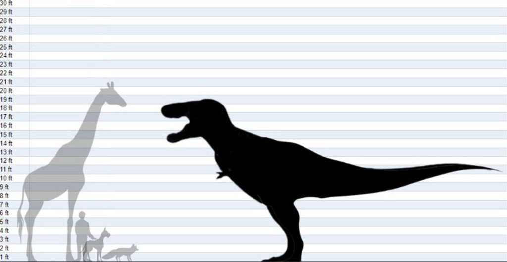 Size comparison showing a T. rex silhouette next to a giraffe, a person, a dog, and a fox